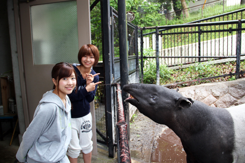 20160515linq2.JPG
