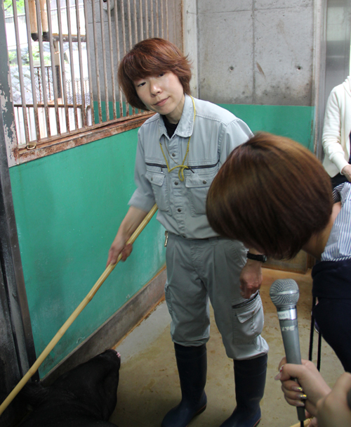 20160515linq3.JPG