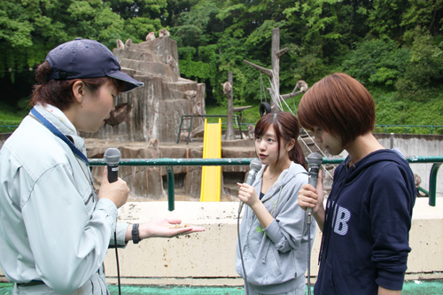 20160522linq5.JPG