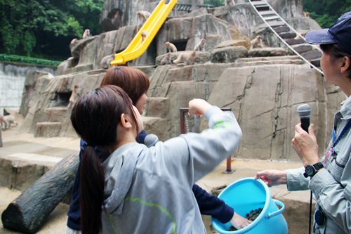 20160522linq8.JPG