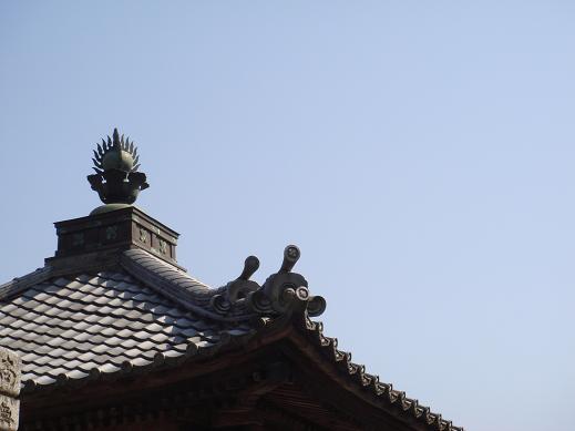 善導寺の屋根.JPG