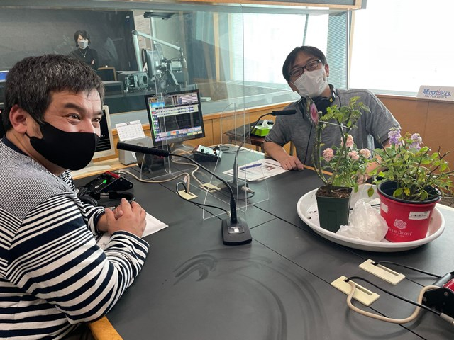  5つの緑の宝物！庭に植えるべき薬用植物